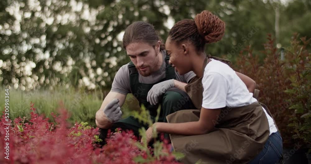Multiracial colleagues examining plant on farm Multiracial colleagues examining plant on farm