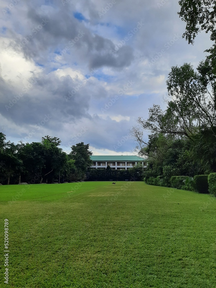 Obraz premium Green Lawn
