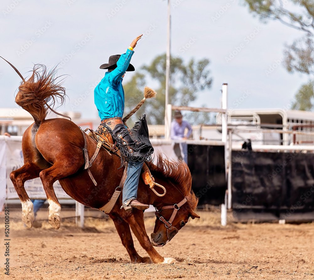 Fotografie Cowboy On Bucking Bronco At Rodeo