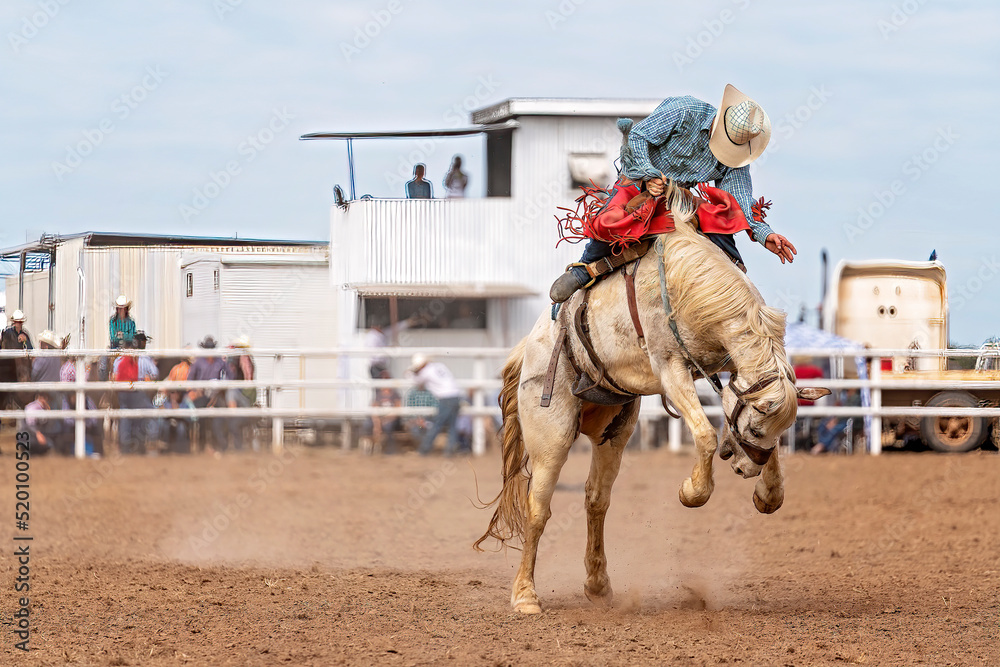 Wall Mural Cowboy On Bucking Bronco At Rodeo
