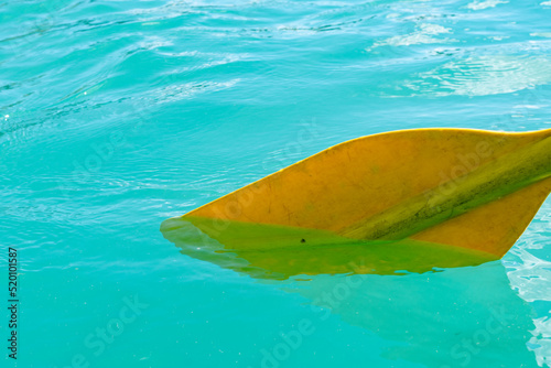 Yellow canoe paddle in the teal water of Emerald Lake in Yoho National Park Canada © MelissaMN