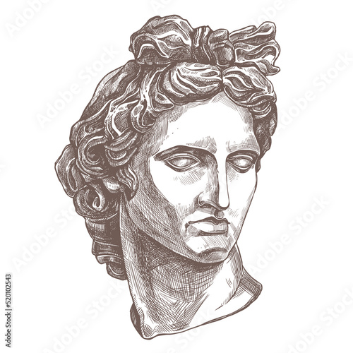 Apollo vector classical ancient gypsum sculpture. Antiquity head of greece god. Hand drawn sketch illustration in etching style, academic drawing