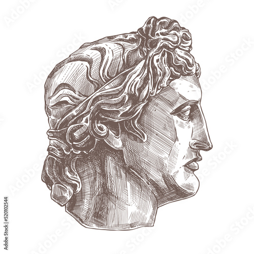 Apollo vector classical ancient gypsum sculpture. Antiquity head of greece god. Hand drawn sketch illustration in etching style, academic drawing