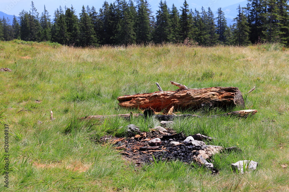 Fireplace in nature cause fires. Charred remains of wood. Fire hazard. Grass, forest, fireplace, wood. Fireplace in nature cause fires. Charred remains of wood. Fire hazard. Grass, forest, fireplace, wood.