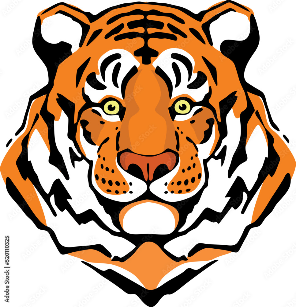 Fototapeta premium tiger head on a white background