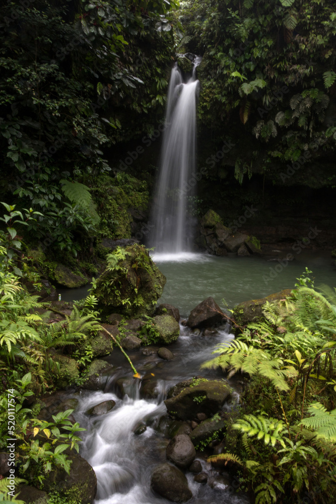 Fototapeta premium dominica waterfall