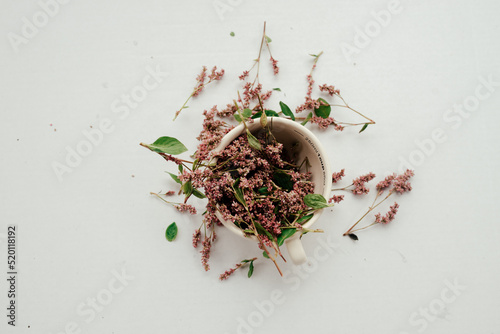 Picture of persicaria tinctoria indigo dye flower seeds in a bowl with a white background photo