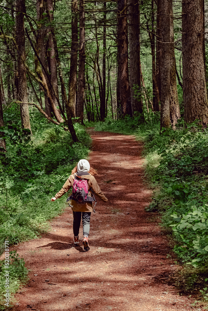 Fototapeta premium Woman walking or slow running on the nature trail,