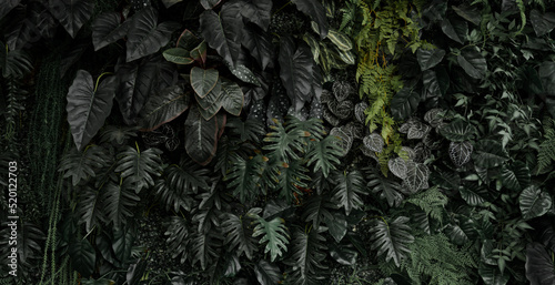 Creative nature leaves background, tropical leaf banner or floral jungle pattern concept.