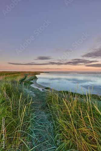 Landscape of sea, lake or lagoon against sunset sky background with copy space. Gulf with reeds and wild grass growing on empty coast outside. Peaceful, calm and beautiful scenic view in nature