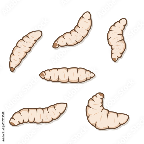 Illustrations of maggots worms isolated on white background photo