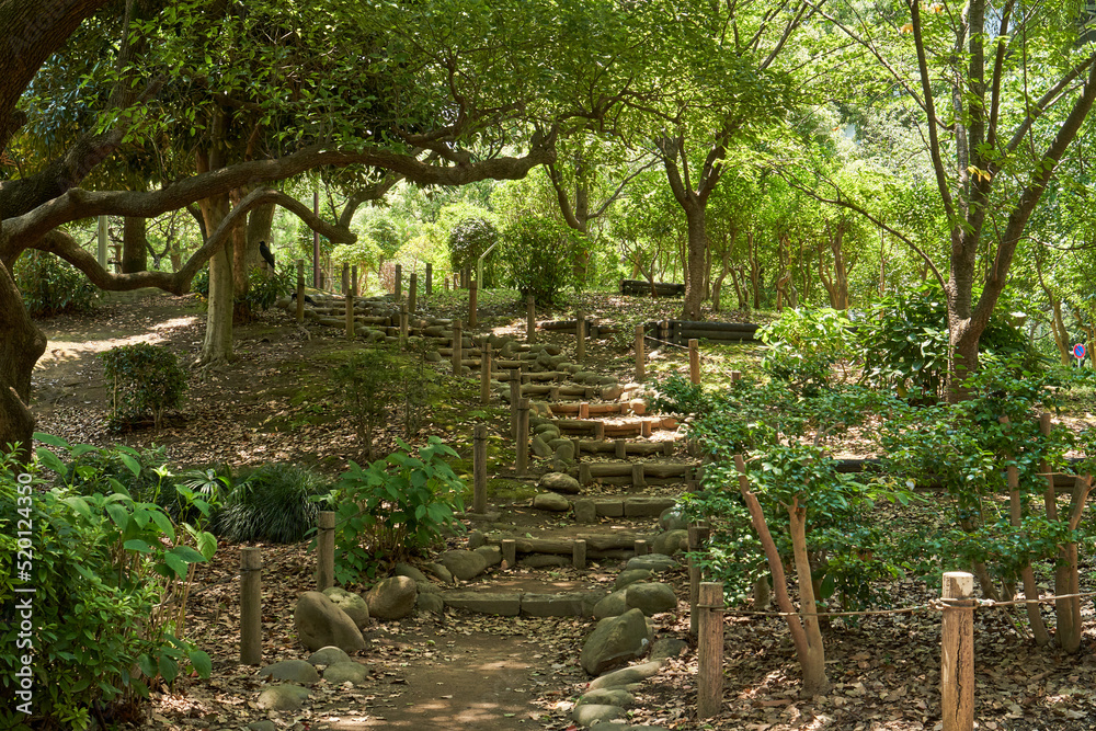 公園 階段 公園 階段