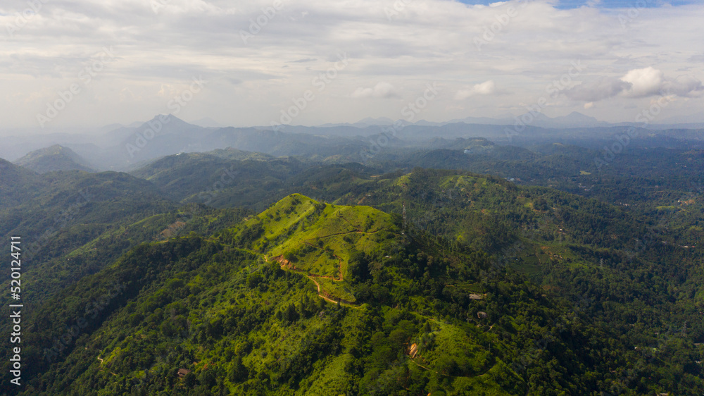 Mountain peaks covered with forest from above. Mountains covered rainforest, trees and blue sky with clouds. Sri Lanka.