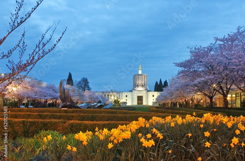 Oregon Capitol Building in dusk viewing from the city park in tree blooming season