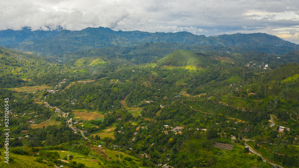 Fototapeta premium Aerial view of town of Ella is surrounded by green hills with tea plantations and agricultural lands. Sri Lanka.