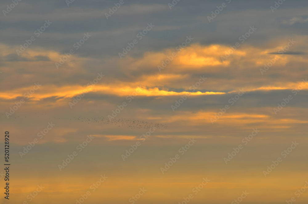 Dramatic panorama sky after sunrise