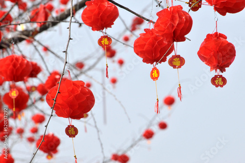 chinese lanterns 