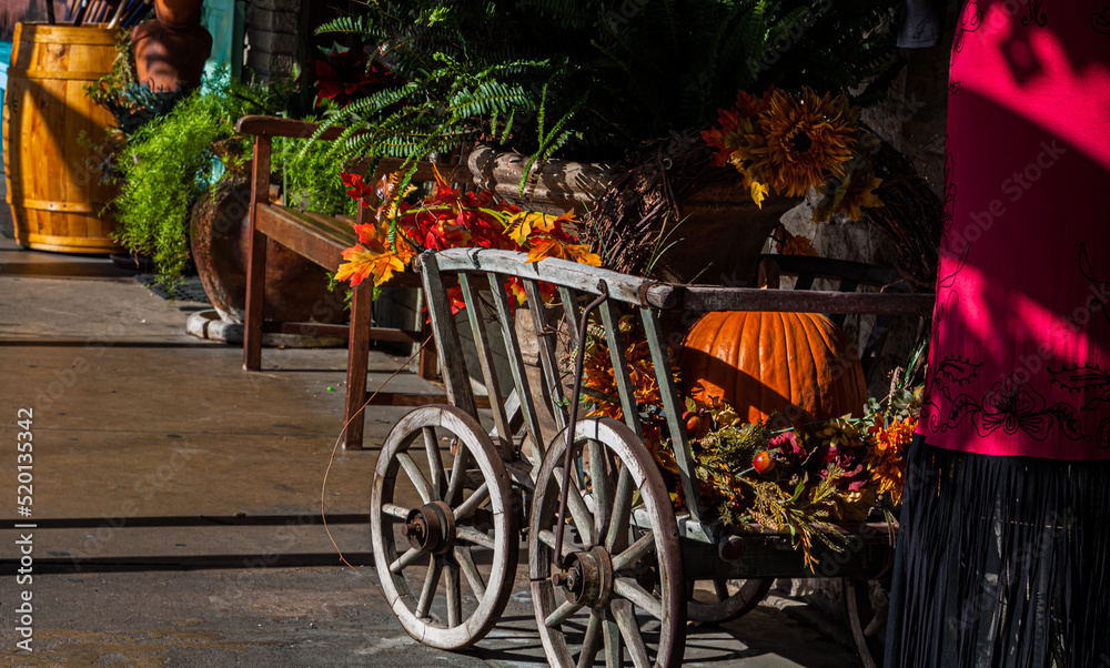 Small Wagon and Fall Color on The Sidewalk of Downtown, Fredericksburg, Texas, USA