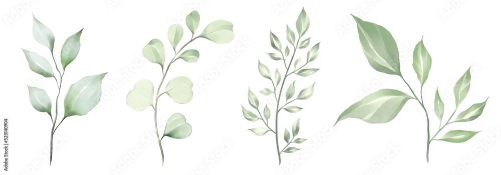 wheat ears Watercolor green leaves collection. Set of lovely watercolor leaves and branches. Botanical illustration. wheat ears Watercolor green leaves collection. Set of lovely watercolor leaves and branches. Botanical illustration.