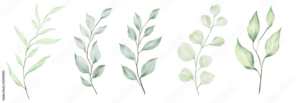 wheat ears Watercolor green leaves collection. Set of lovely watercolor leaves and branches. Botanical illustration. wheat ears Watercolor green leaves collection. Set of lovely watercolor leaves and branches. Botanical illustration.