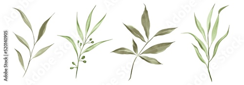 Watercolor green leaves collection. Set of lovely watercolor leaves and branches. Botanical illustration.