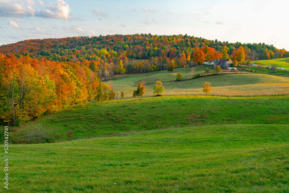 Obraz premium landscape of autumn farmland with woods in sunset light