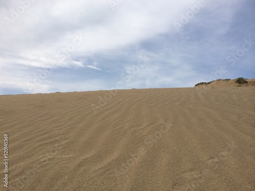 sand dunes in the desert