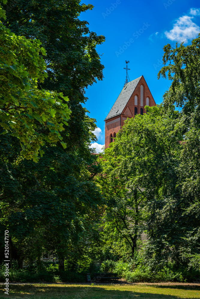 Blick vom Klemkepark auf den hinter Bäumen versteckten Turm der katholischen St.-Marien-Kirche in Berlin-Reinickendorf