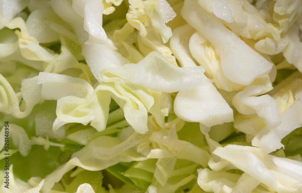Sliced head of cabbage as a background. Sliced head of cabbage as a background.