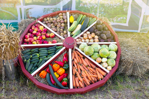 Colorful sellection of fruits apples, berries, nuts and vegetables , cucumber, cabbage, carrots, potatoes, in an old wooden carriage wheel photo