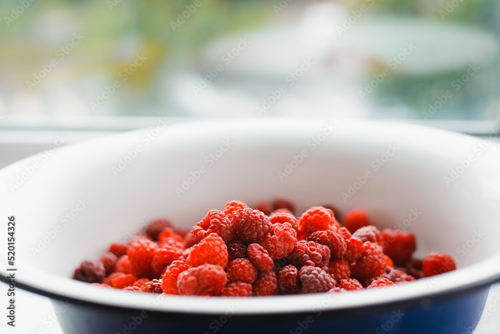 Harvested red raspberries in white bowl, indoors. Low angle view, close up, selective focus Harvested red raspberries in white bowl, indoors. Low angle view, close up, selective focus