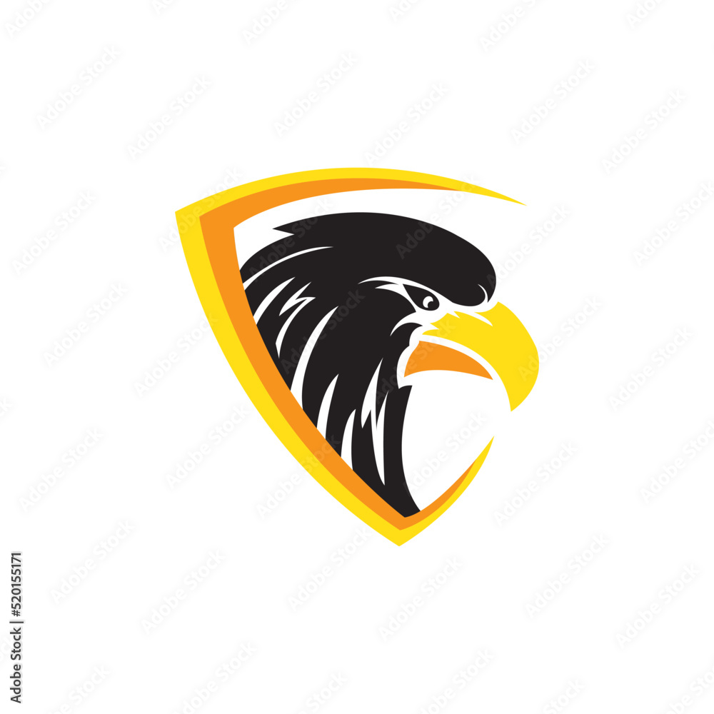 Fototapeta premium Bird falcon and logo design, eagle or hawk badge emblem