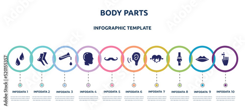 body parts concept infographic design template. included sweat or tear drop, tiptoe feet, test tube, flask and drop of blood, male with bald hair side view, mustache curled tip, ear increase audio,