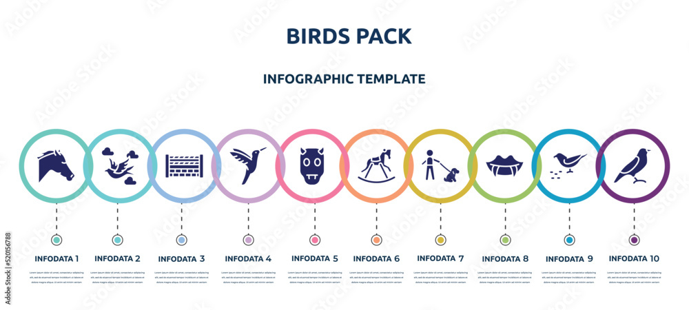 birds pack concept infographic design template. included horse head, bird flying between clouds, fence for horses jumps, hummingbird, devil, horse rocker black, dog with owner, fangs, bird of black
