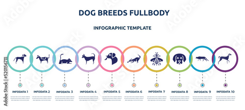 dog breeds fullbody concept infographic design template. included springer spaniel, jack russell terrier, laying cat, chihuahua, dog licking, dogs playing, bumblebee, dog puppy, kurzhaar icons and