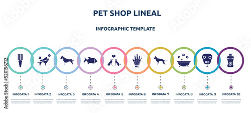 pet shop lineal concept infographic design template. included flea comb, washing the dog, pitbull, big piranha, couple of dogs, grooming glove, german shepherd, pets bath, shampoo icons and 10