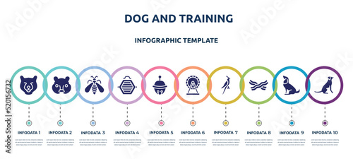 dog and training concept infographic design template. included bear head, hedgehog head, big wasp, cat box, sleighbell, hamster wheel, nymphicus hollandicus, jerky treats, dog seatting icons and 10
