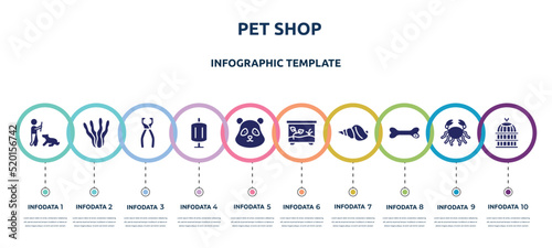 pet shop concept infographic design template. included man dog and stick, aae, nail trimmer, sponge filter, panda bear head, terraraium, conch, dog toy, bird cage icons and 10 option or steps.