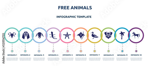 free animals concept infographic design template. included ram, bas hound dog head, female sheep head, curved lizard, starfish with dots, stingray with long tail, wild duck, funny dog head, horse