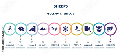 sheeps concept infographic design template. included gecko, angry dog, boar head, tropical fish, butterfly wings, angular flower, giant squid, hog head, black sheep icons and 10 option or steps. photo