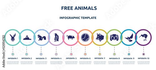 free animals concept infographic design template. included kangaroo head, angular mountain, sitting squirrell, sitting penguin, pig with round tail, tennis ball, wolf head, dog with chubby cheeks,