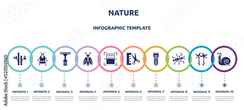 nature concept infographic design template. included bamboo, crioceris, deshedding, firefly, scanning, groomer, hair clipper, mantis, snail icons and 10 option or steps.