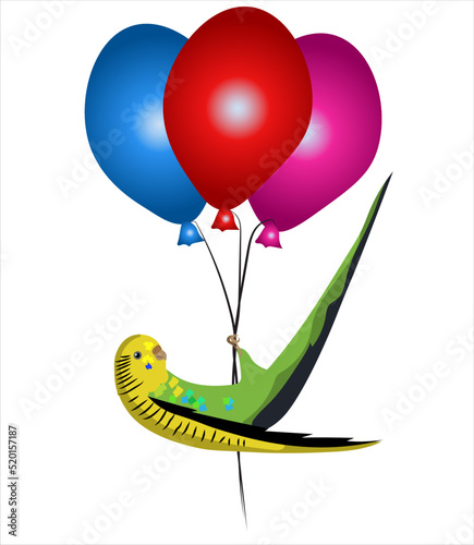 Budgie bird congrats with Birthday, bird and balloons
