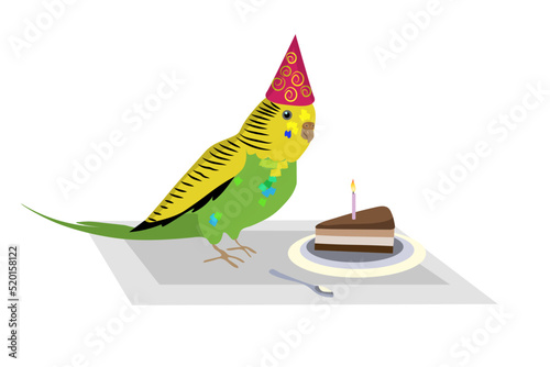 Budgie bird congrats with Birthday, bird and cake with candle