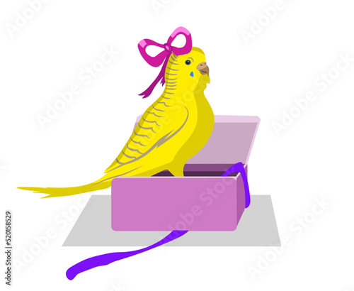 Yellow budgie bird jumps out of the present box, gift for a holiday