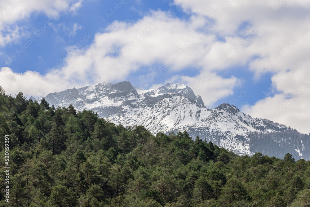 Dense spruce old forest and peaks of alpine mountains covered with snow and glaciers in spring, Trentino, Italy