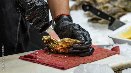 Fotografie Unrecognizable woman opening the shell of a fresh oyster at a market in Arcachon (France), selective focus on the left hand glove