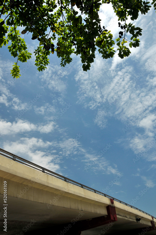 bridge under blue sky