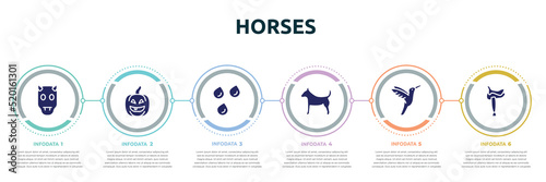 horses concept infographic design template. included devil, lantern, raindrops, plain dog, hummingbird, horse saddle icons and 6 option or steps.