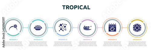 tropical concept infographic design template. included headband, pie, firework, turkey, autumn, lifesaver icons and 6 option or steps.